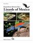 Preview: Lizards of Mexico